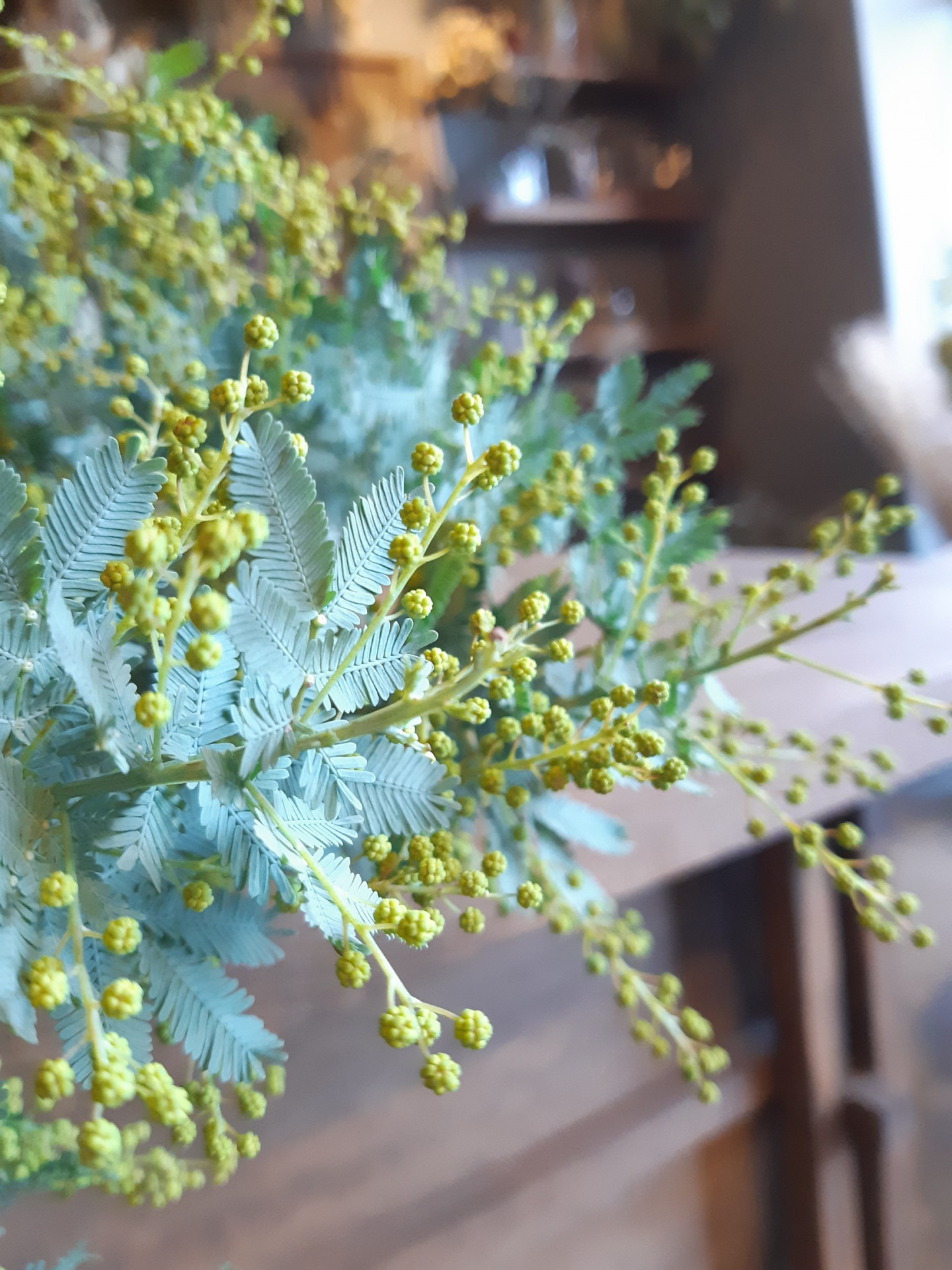 大阪の花屋で季節の花を探すなら千林大宮の花屋｜結いはなで